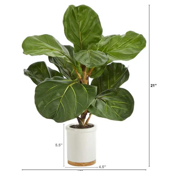 Fiddle Leaf Fig In White Ceramic Planter, 21 In.-Kirkland's Home Cheap