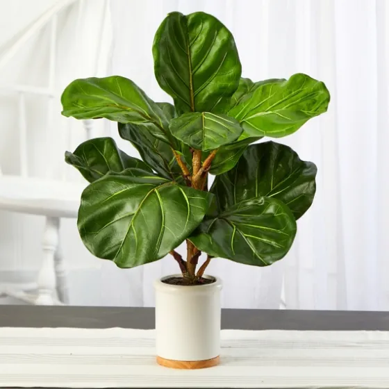 Fiddle Leaf Fig In White Ceramic Planter, 21 In.-Kirkland's Home Cheap