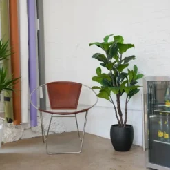 Fiddle Leaf Fig Tree In Black Wood Pot-Kirkland's Home Outlet