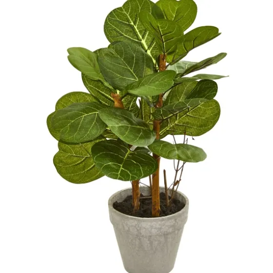 Fiddle Leaf Plant Arrangement, 22 In.-Kirkland's Home Outlet