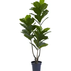 Fiddle Uv Resistant Tree-Kirkland's Home Outlet