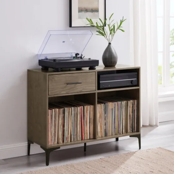 Finn Record Storage Media Cabinet-Kirkland's Home New