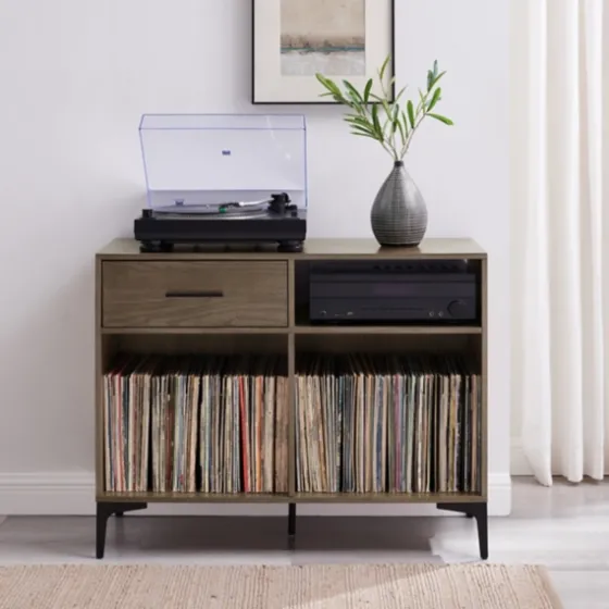 Finn Record Storage Media Cabinet-Kirkland's Home New