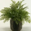 Flat Iron Fern Arrangement In Antiqued Planter-Kirkland's Home Cheap