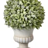 Flocked Sage Ball 11 In. Urn Arrangement, Set Of 2-Kirkland's Home Hot
