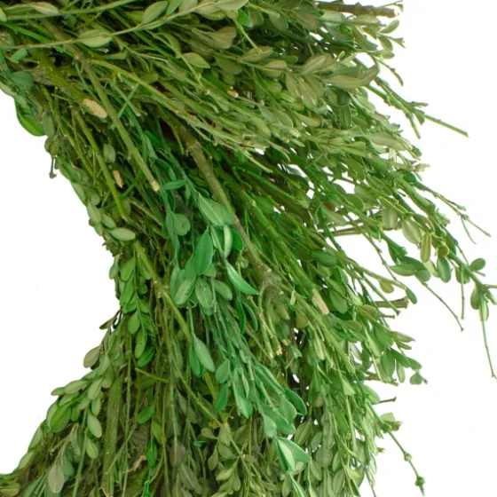 Foliage Spring Wreath-Kirkland's Home Store