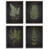 Four Ferns Framed Art Prints, Set Of 4-Kirkland's Home Hot
