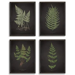 Four Ferns Framed Art Prints, Set Of 4-Kirkland's Home Hot