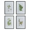 Framed Fern Art Prints, Set Of 4-Kirkland's Home Discount