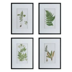 Framed Fern Art Prints, Set Of 4-Kirkland's Home Discount