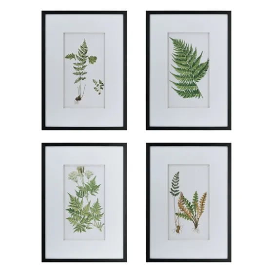 Framed Fern Art Prints, Set Of 4-Kirkland's Home Discount