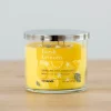 Fresh Lemons Triple Wick Jar Candle-Kirkland's Home Flash Sale