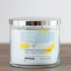 Fresh Rain Triple Wick Jar Candle-Kirkland's Home Cheap
