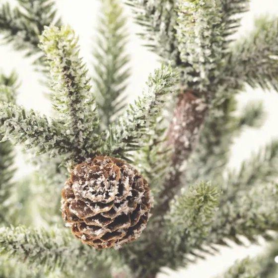 Frosted Pinecone Tree In Whitewash Planter, 24 In.-Kirkland's Home Best
