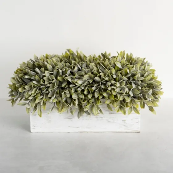 Frosted Sage Arrangement In Wooden Box-Kirkland's Home Online