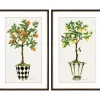 Fruit Topiary Giclee Black Framed Prints, Set Of 2-Kirkland's Home Best