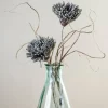 Fuji Mum Stem-Kirkland's Home Sale