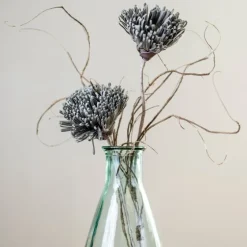 Fuji Mum Stem-Kirkland's Home Sale