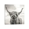 Funny Girl Canvas Art Print, 37X37-Kirkland's Home Best Sale