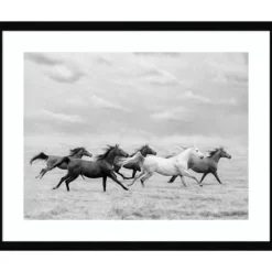 Galloping Wild Horses Framed Wall Art-Kirkland's Home Shop