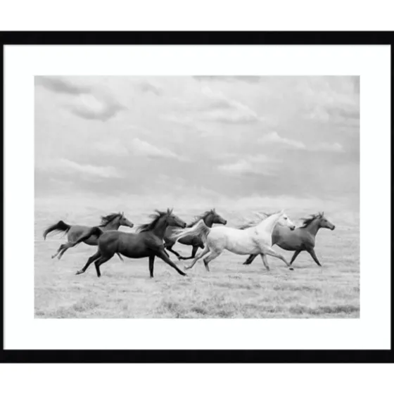 Galloping Wild Horses Framed Wall Art-Kirkland's Home Shop