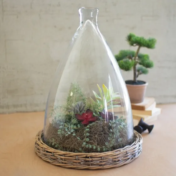 Glass And Wicker Base Cloche-Kirkland's Home Cheap