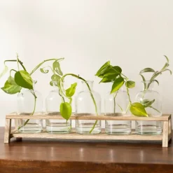 Glass Bottle Vase And Crate 5-Pc. Set-Kirkland's Home Online