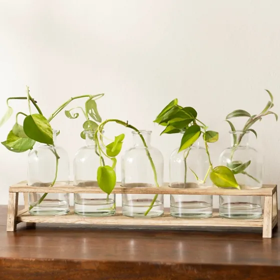 Glass Bottle Vase And Crate 5-Pc. Set-Kirkland's Home Online