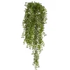 Gledistias In Hanging Metal Baskets, Set Of 2-Kirkland's Home Sale