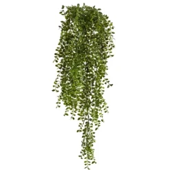 Gledistias In Hanging Metal Baskets, Set Of 2-Kirkland's Home Sale