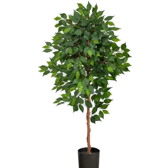 Glossy Leaf Ficus Tree In Black Nursery Planter-Kirkland's Home Cheap