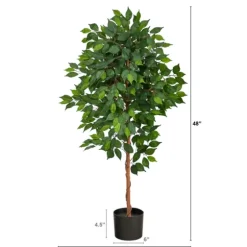 Glossy Leaf Ficus Tree In Black Nursery Planter-Kirkland's Home Cheap