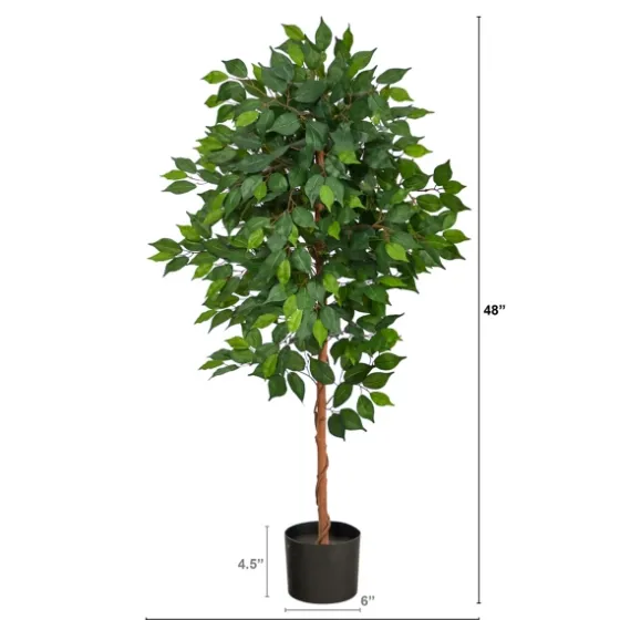 Glossy Leaf Ficus Tree In Black Nursery Planter-Kirkland's Home Cheap
