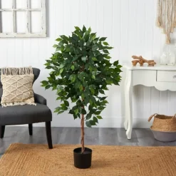 Glossy Leaf Ficus Tree In Black Nursery Planter-Kirkland's Home Cheap