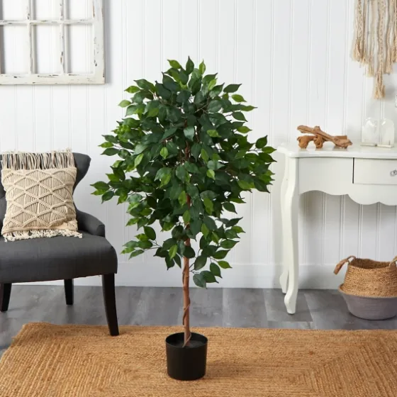 Glossy Leaf Ficus Tree In Black Nursery Planter-Kirkland's Home Cheap