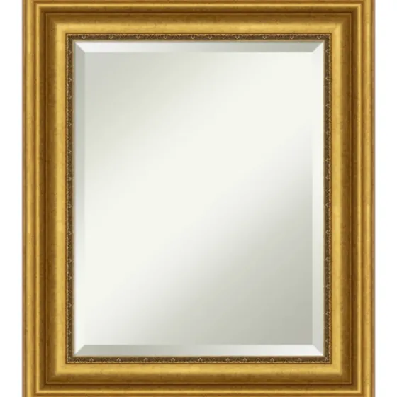 Gold Patina Scalloped Frame Mirror-Kirkland's Home Store