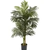 Golden Cane Palm Tree, 5 Ft.-Kirkland's Home Discount