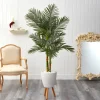 Golden Cane Palm With White Planter, 5.5 Ft.-Kirkland's Home Sale