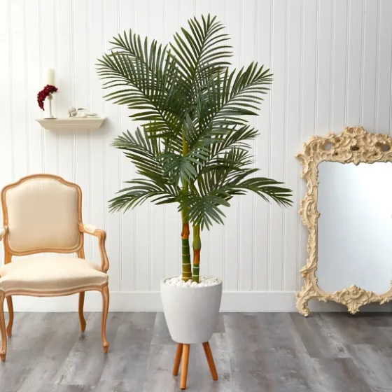 Golden Cane Palm With White Planter, 5.5 Ft.-Kirkland's Home Sale