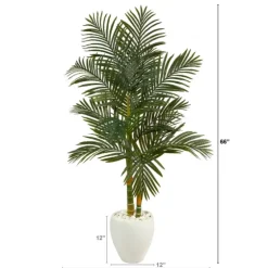 Golden Cane Palm With White Planter, 5.5 Ft.-Kirkland's Home Sale