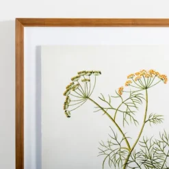 Golden Leaves Herbs Dill Framed Art Print-Kirkland's Home Flash Sale