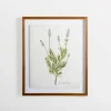 Golden Leaves Herbs Lavender Framed Art Print-Kirkland's Home Fashion
