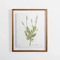 Golden Leaves Herbs Lavender Framed Art Print-Kirkland's Home Fashion