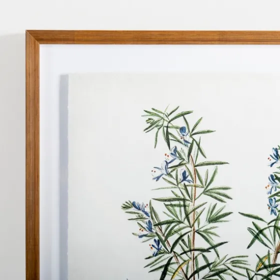Golden Leaves Herbs Rosemary Framed Art Print-Kirkland's Home Discount