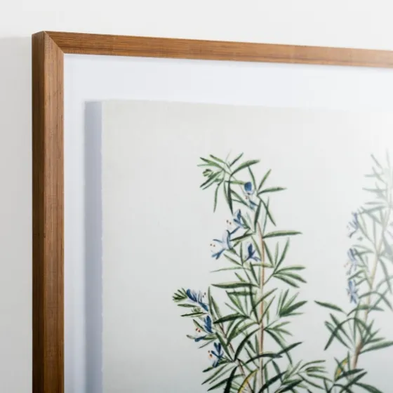 Golden Leaves Herbs Rosemary Framed Art Print-Kirkland's Home Discount
