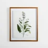 Golden Leaves Herbs Sage Framed Art Print-Kirkland's Home Store