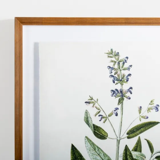 Golden Leaves Herbs Sage Framed Art Print-Kirkland's Home Store