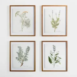 Golden Leaves Herbs Sage Framed Art Print-Kirkland's Home Store