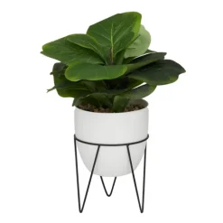Gourd Plant In Hairpin Leg Planter-Kirkland's Home Shop