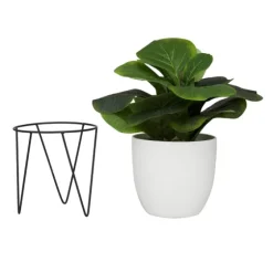 Gourd Plant In Hairpin Leg Planter-Kirkland's Home Shop